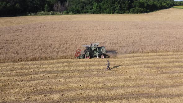 An Old Small Combine Threshes a Wheat Field