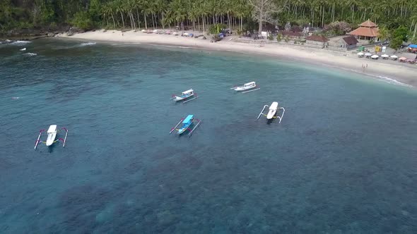 Spectacular aerial view flight slowly circle drone shot of an empty dream paradise palm beach. Untou