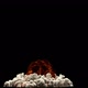 Explosion Slow Motion - VideoHive Item for Sale