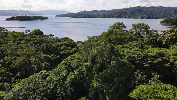 Aerial video of Arenal lake in Costa Rica's northern province Alajuela. Lush and thick rainforest fi