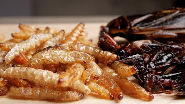 Fried insects on wooden plate. Insects are foods that are high in protein.