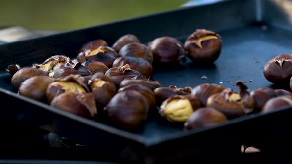 Close up of sweet chestnuts on baking tray