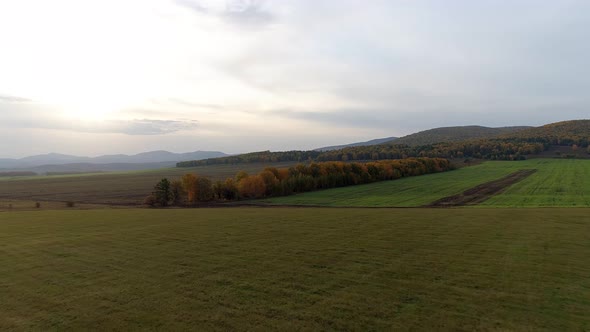 Aerial View on Autumn Forest