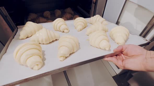 Baker Takes Out Raw Croissants From the Proofer and Sets Them to Bake in Combi Steamer