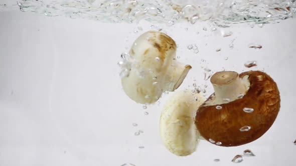 Mushrooms Champignons Slowly Falls Into Boiling Water, Slow Motion Close-up