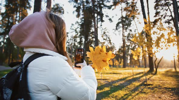 Young Lady Blogger Making Video on Smartphone Recording Bouquet of Orange Maple Leaves in Evening