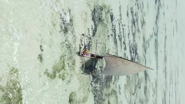 Vertical Video Boats in the Ocean Near the Coast of Zanzibar Tanzania Aerial View