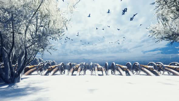 Cannons in The Winter Field alt