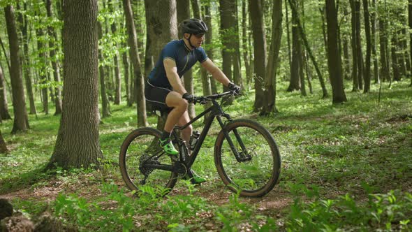 A Cyclist is Riding Up a Forest Path