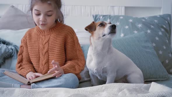 Girl in a Knitted Sweater Sits in a Cozy Bedroom Reading a Book with Her Beloved Little Dog Jack