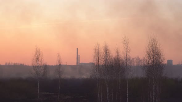 Red Sun in Smoke Sunset on the Background of the City After a Forest Fire and Dry Grass, Copy Space