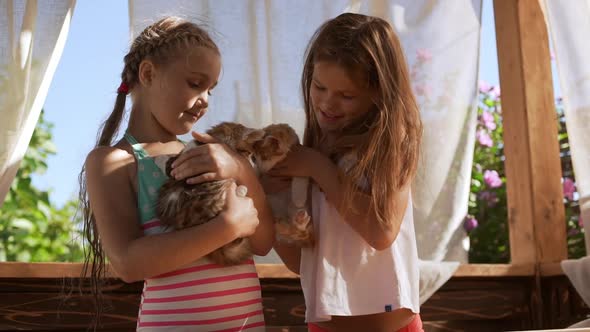 Two Young Girls Holding Ginger Cute Kittens on Hands in Slowmotion