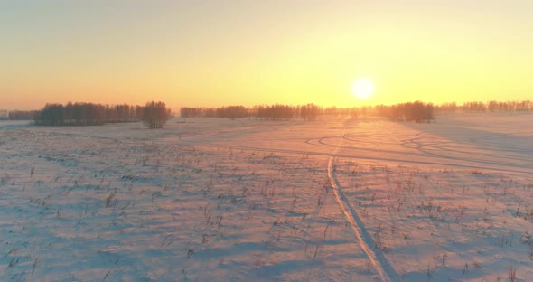 Aerial Drone View of Cold Winter Landscape with Arctic Field, Trees Covered with Frost Snow and