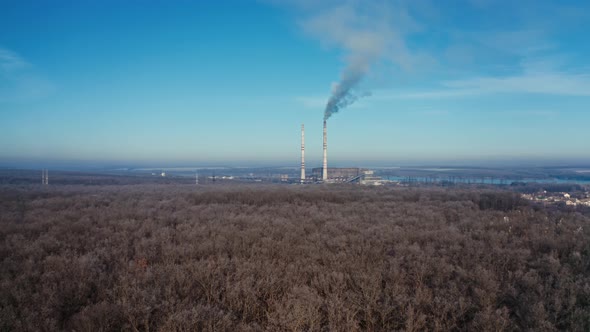 Flight Over the Forest to Industrial Factory.