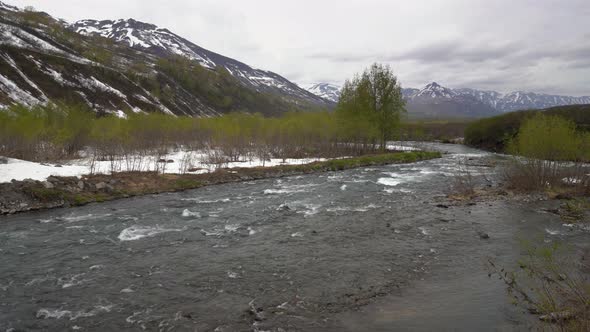 Spring Landscape Rough Mountain River, Just Flowering Forest Along Riverbanks