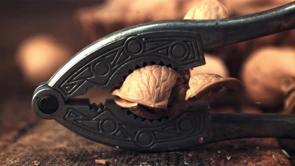 Super Slow Motion Walnut Pricked Nutfol