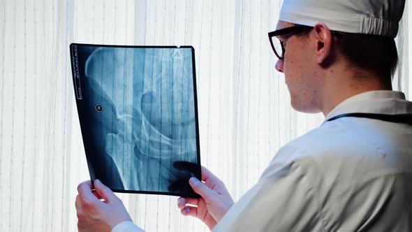 Doctor Examining Pelvis Hip Xray Closeup