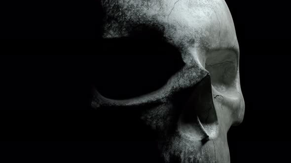 Human Skull on an Isolated Black Background alt