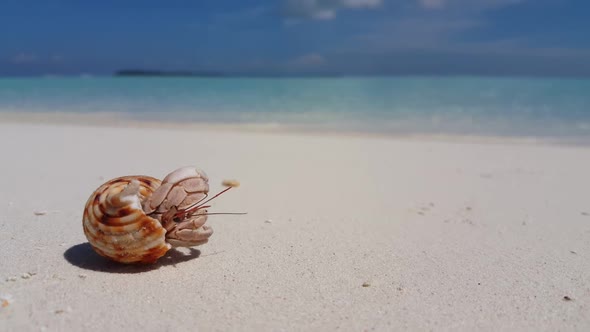 Aerial drone shot nature of beautiful resort beach adventure by blue green water and white sand back