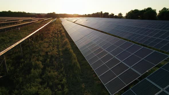 Aerial View of Solar Farm on the Green Field at Sunset Time Solar Panels in Row