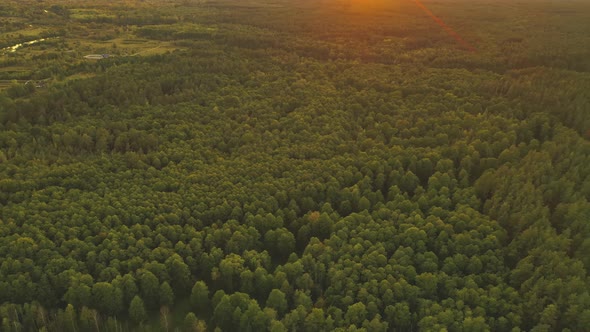 Aerial View Of Sunset Sky Above Green Forest Landscape In Sunny Evening