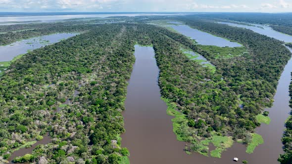 Stunning landscape of Amazon Forest at Amazonas State Brazil.