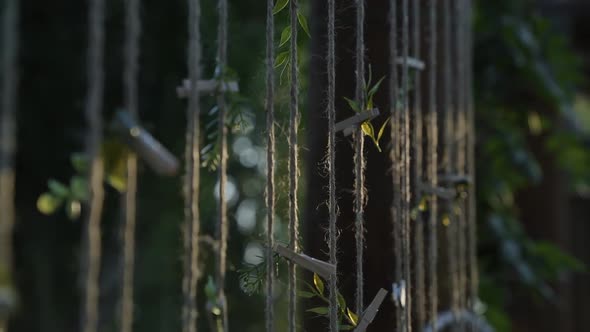 brown yarn lines hanging with small plants tied to it at a wedding reception on a beautiful sunny su