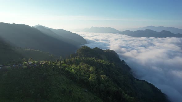 Aerial landscape view of greenery mountains and the sea of fog by drone