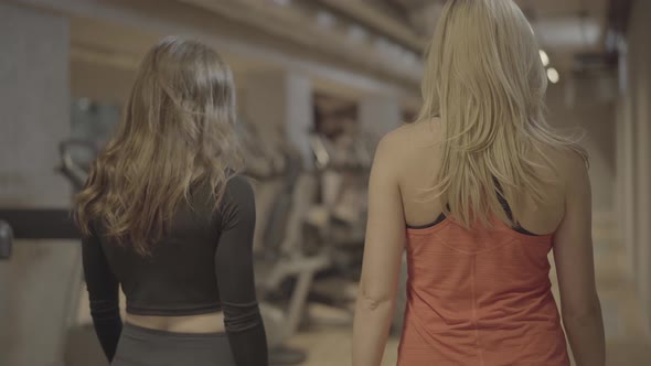 Camera Follows Young Sportive Women Walking Along Gym and Chatting. Back View of Blond and Brunette