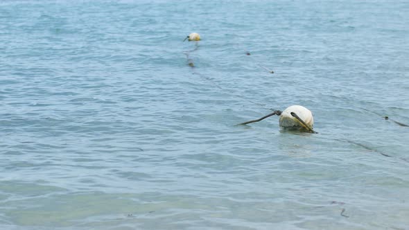 White Fishing Buoys on the Water, Thailand