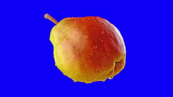 Ripe Pear Rotates on Blue Background for Chroma Key