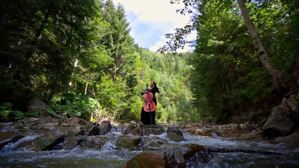 Beautiful girl playing cello in river. Young woman playing cello in river outdoors