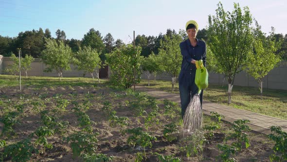 Woman Works in Garden  Video Prores