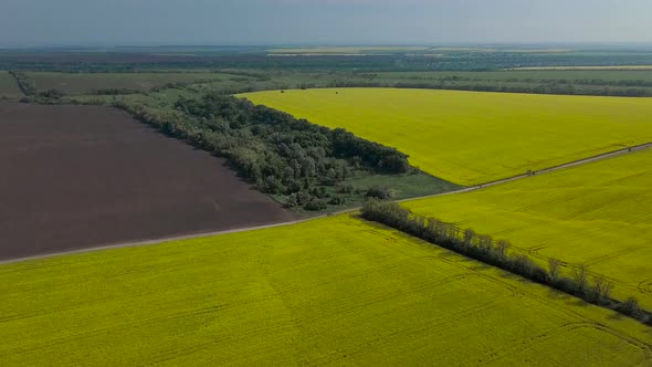 Panorama of Agricultural Fields of Ukraine