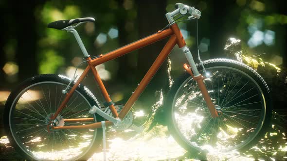 Mountain Bike on the Forest Path alt
