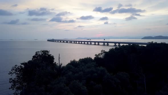 Mangrove trees at coastal Penang Second Bridge