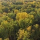 The Drone Is Flying Over the Autumn Forest - VideoHive Item for Sale