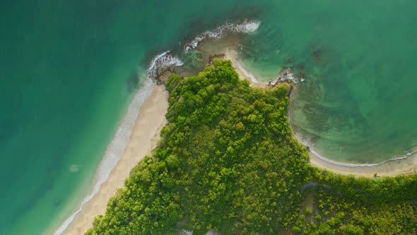 Aerial of trees and beautiful turquoise water on coastline