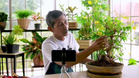 Senior gardener man selling beautiful plants on social media by streaming live from his shop.