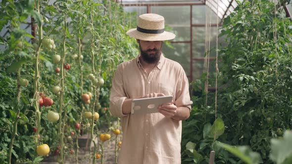 Bearded Caucasian Man with Mustache Using Tablet Standing in Sunny Greenhouse Looking at Camera