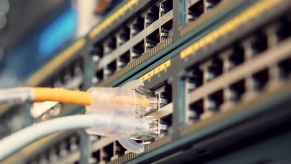 IT Technician Works With Ware And Cables in Big Data Center. Connecting Lan Cable To Mainframe.