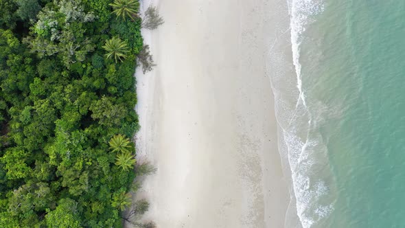 Beach, palm trees and rainforest top down aerial at Cape Tribulation, Daintree, Queensland, Australi
