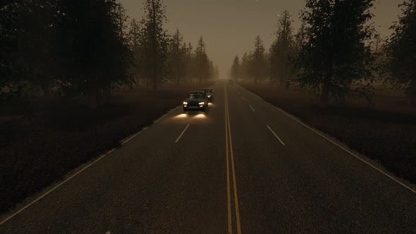 Night Traffic Foggy Forest Landscape