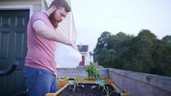 young man watering garden bed