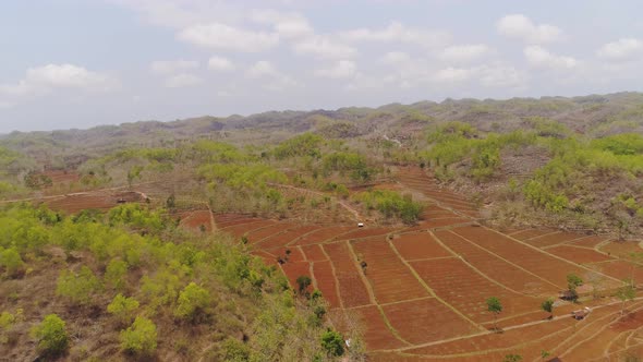 Agricultural Landscape in Asia