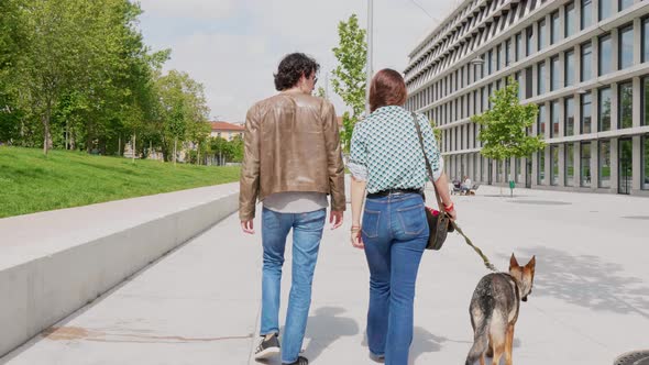 Couple with dog walking in the city, rear view