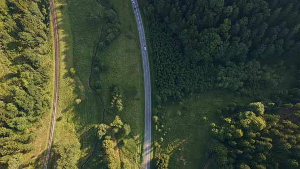 Car Moving on Road Through Pine Tree Forest Aerial View