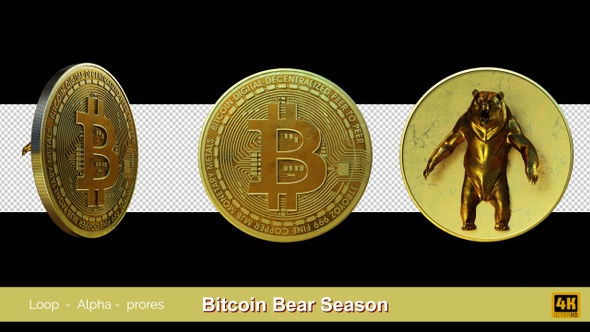 Bitcoin Bear Season