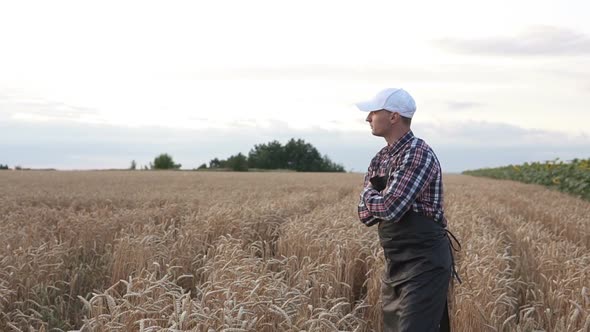 A farmer walks through a wheat field checking his harvest.