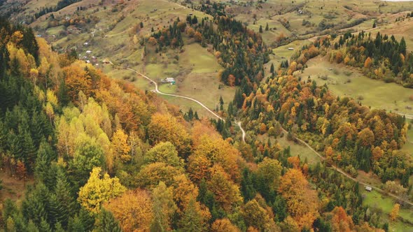 Sun Autumn Green Yellow Trees at Mountain Tops